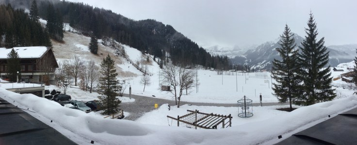 IMG_2011